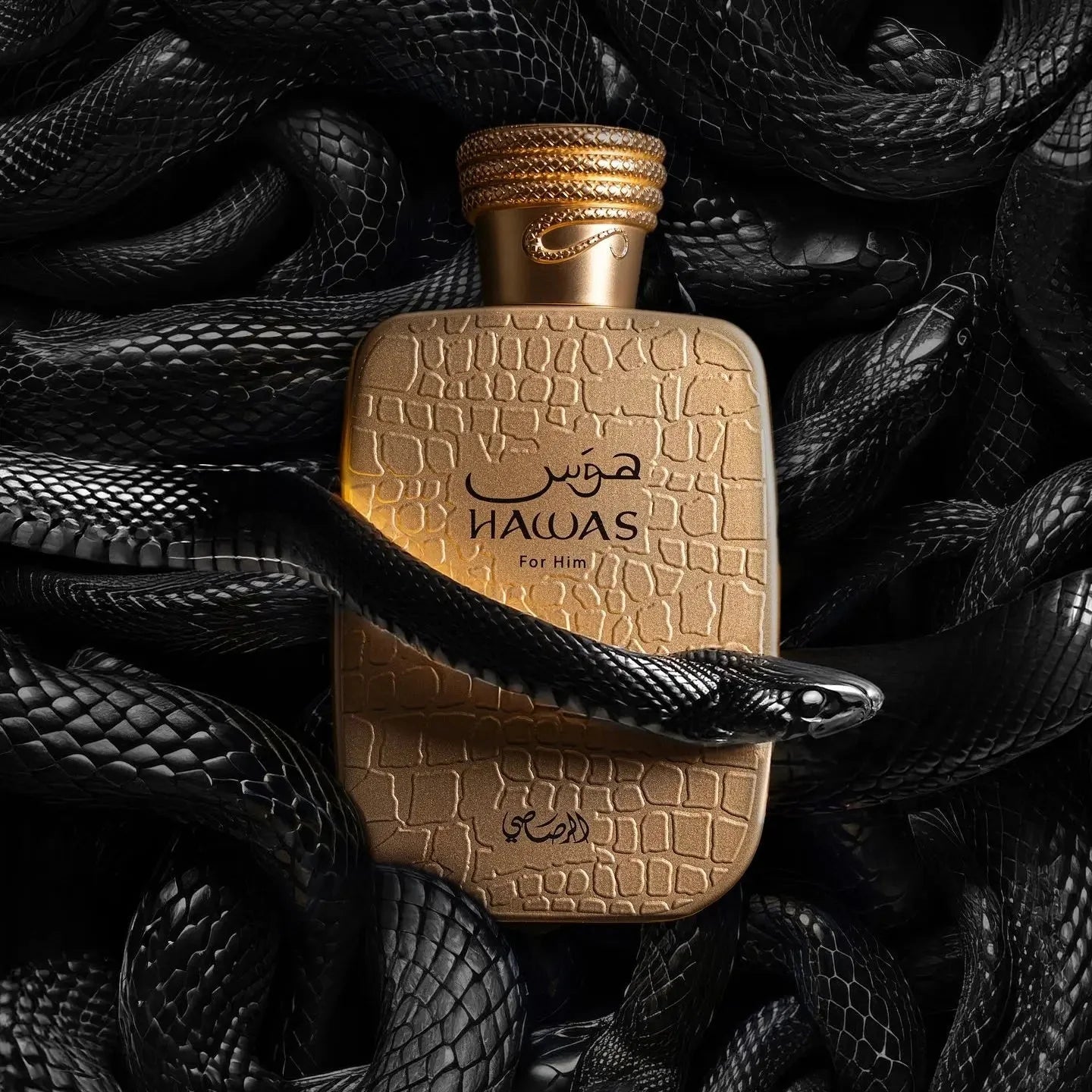 Rasasi Hawas Viper EDP 100ml