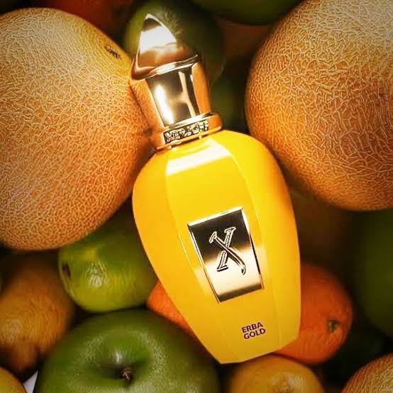 Xerjoff Erba Gold EDP 50mL